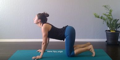 Cow Pose, Bitilasana,