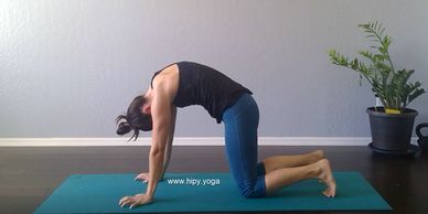 Cat Pose, Marjaryasana, Billiasana, Bidalasana, Viralasana