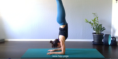 Feathered Peacock Pose, Pincha Mayurasana, Forearm Stand