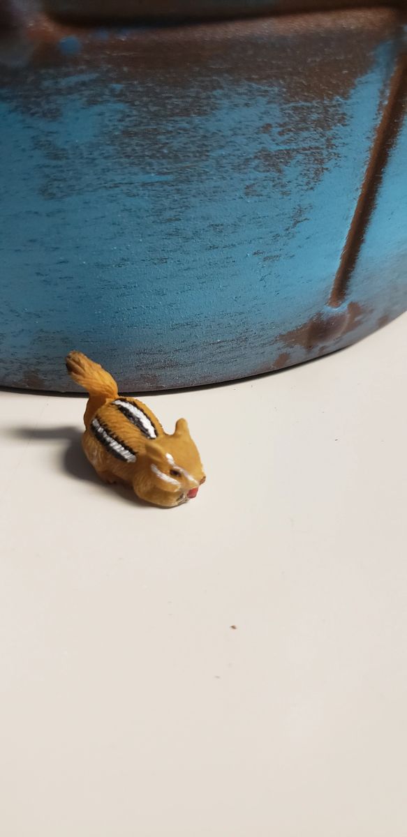 Animals for 25 Bundle