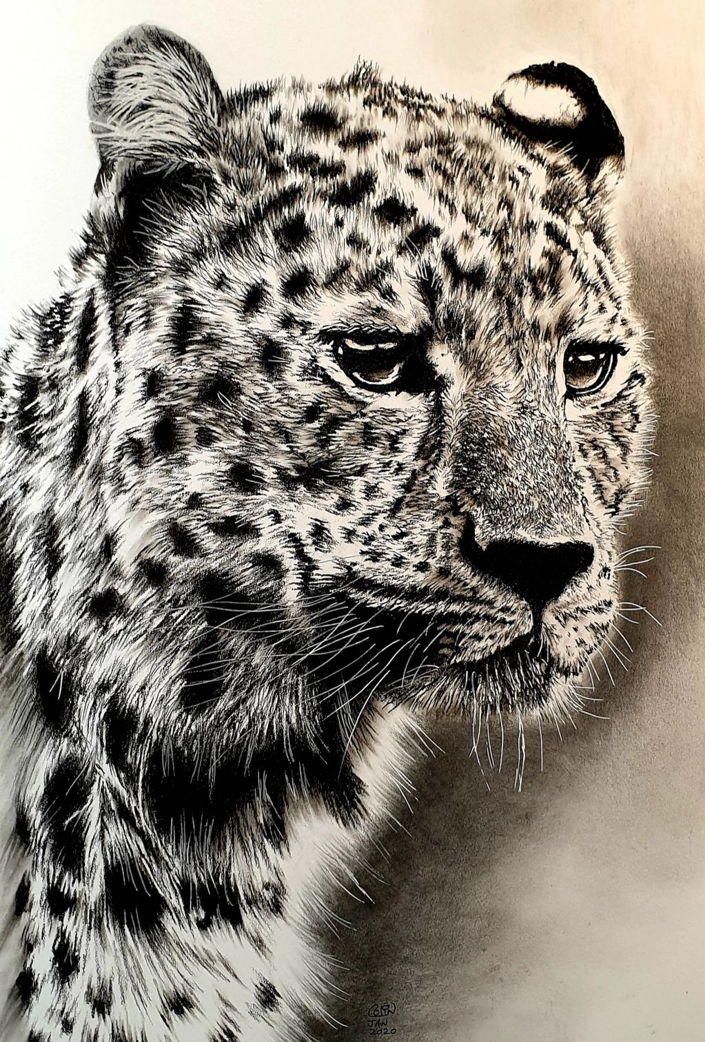 A2 Leopard Graphite and charcoal drawing, now sold at an auction. 
