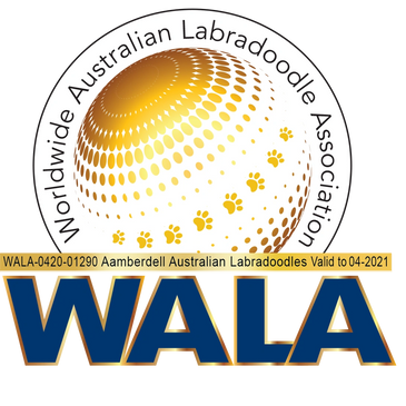 World Australian Labradoodle Association (WALA) logo