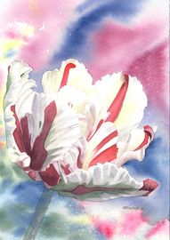 parrot tulip painting