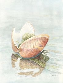shell painting