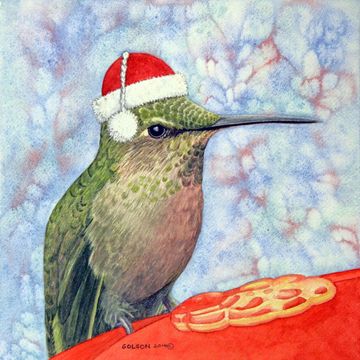 anna's hummingbird christmas theme