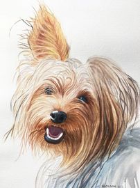 yorkshire terrier painting