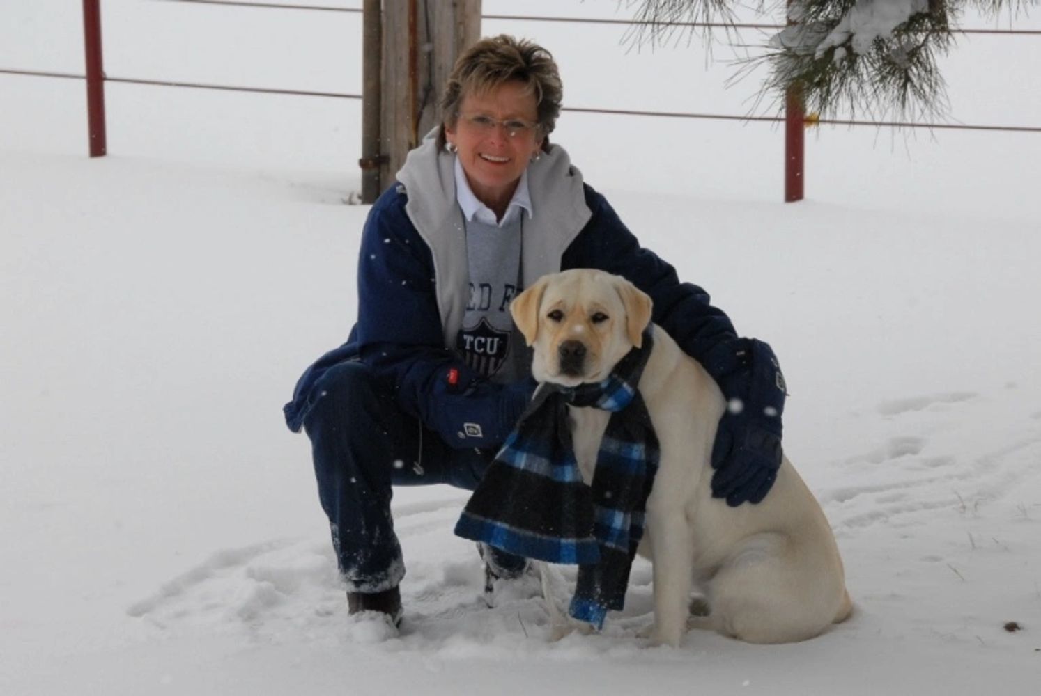 Texas Moonlight Labs