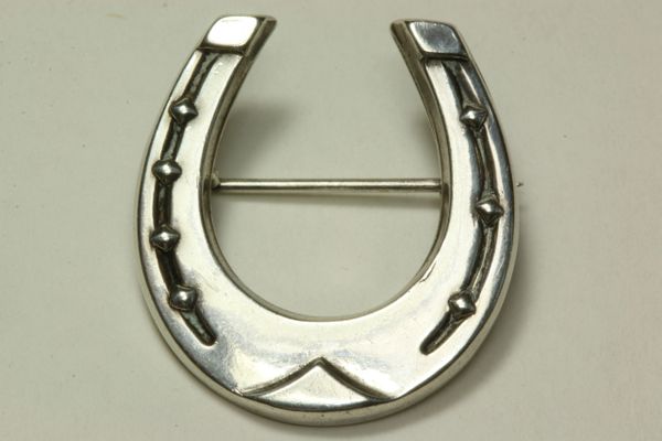 Silver horseshoe stock pin