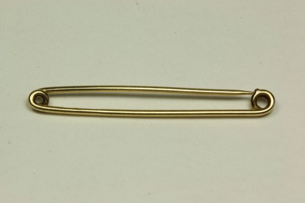 Gold hunting stock pin