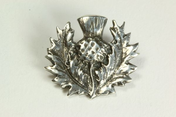 Silver Scottish thistle stock pin