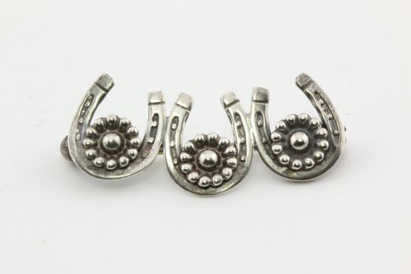 Silver horseshoe stock pin