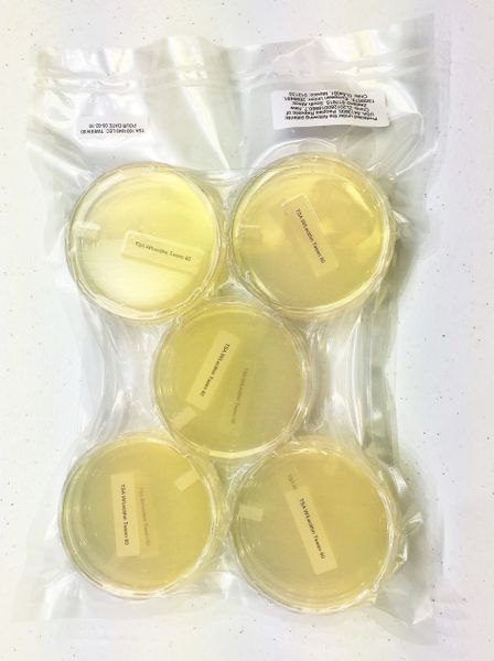10-Pack Pre-Poured , 15x100mm Petri Plates Flat-Packed TSA Vacuum Sealed Tryptic Soy Agar