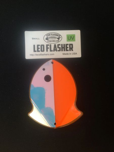 Small Leo Flasher Orange Moon Jelly