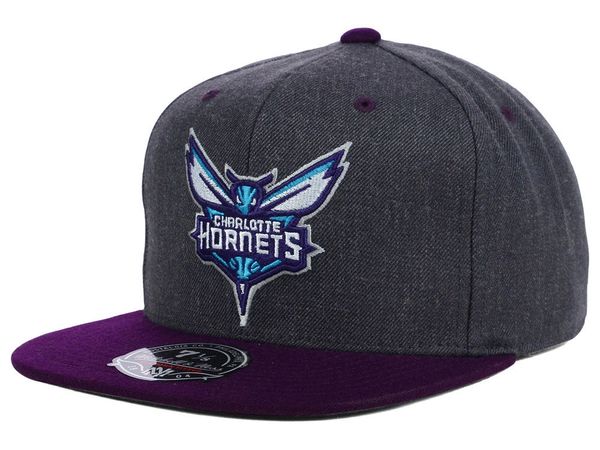 Mitchell & Ness NBA Charcoal Dune 2 Tone Charlotte Hornets Fitted ...