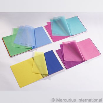 Kite Paper 19.69x27.56 100 Sheets/Roll - 11 Assorted Colours
