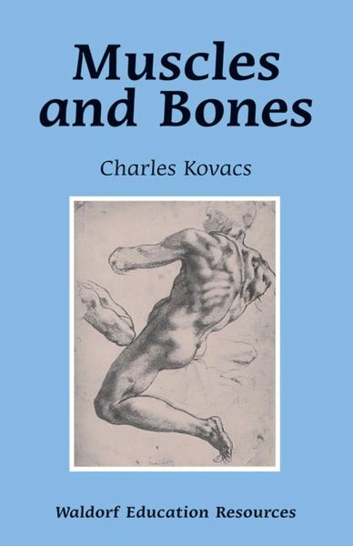 Muscles and Bones Waldorf Education Resources Charles Kovacs