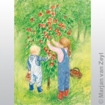 Apple Harvest 1 pc postcard