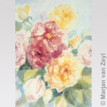 English roses 1 pc postcard