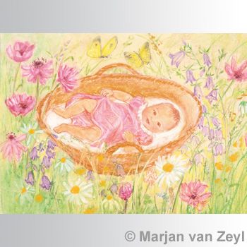 Baby in Basket postcard