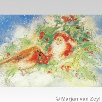 Winter Robin Postcard