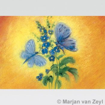 Blue Butterflies postcard