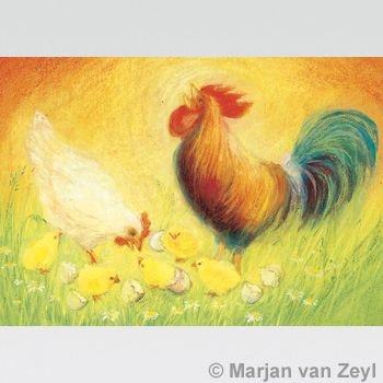 Rooster, Hen & Chicks postcard