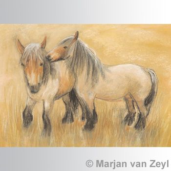 Belgian Horses postcard