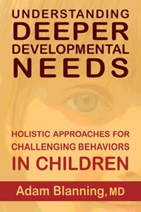 Understanding Deeper Developmental Needs Holistic Approaches for Challenging Behaviors in Children by Adam Blanning