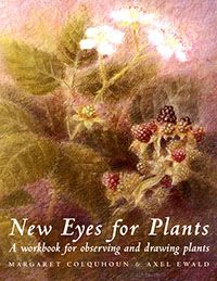 New Eyes for Plants A Workbook for Observing and Drawing Plants Margaret Colquhoun Illustrated by Axel Ewald