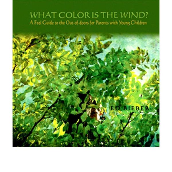 What Color Is the Wind? by Ed Bieber