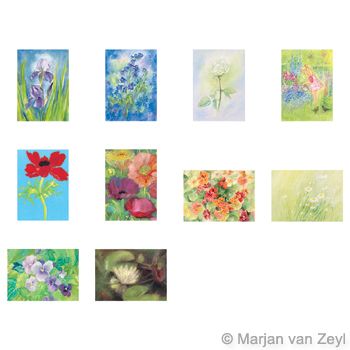 Assortment Flowers - 10 Postcards - by Marjan van Zeyl