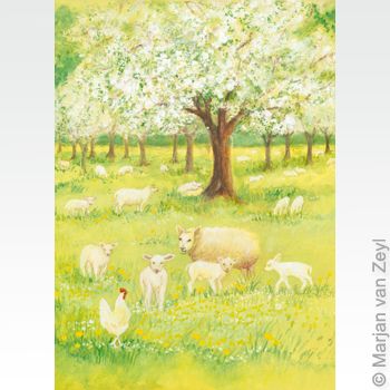 Postcards M.v.Zeyl - Lambs in the orchard - 1 card