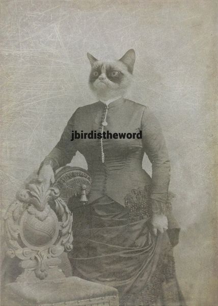 Grumpy Cat, Love Cats, LOL Reddit Art, Famous Internet, Funny Gag Gift,  Anthropomorphic, Animals in Suits,