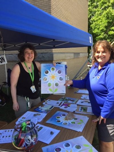 Baerbel Ehrig (l) of Oneida Co L&W shows off the Courthouse pollinator garden to Tracy Beckman (r)

