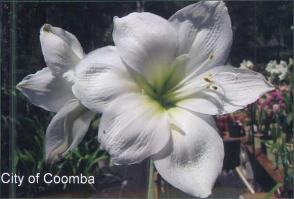 City of Cooma