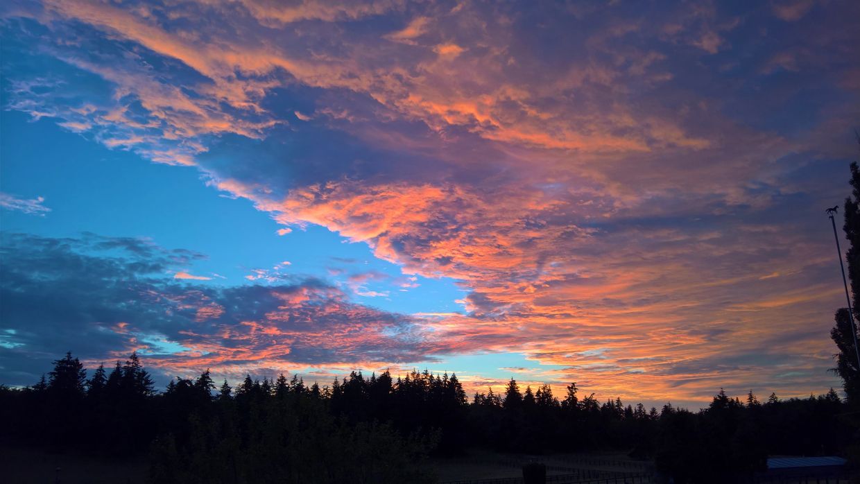 Vibrant sunset sky with orange and purple clouds above silhouetted trees.