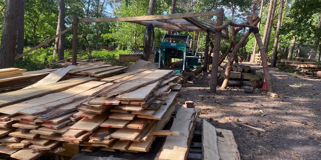 Springfield Rural woodland sawmill