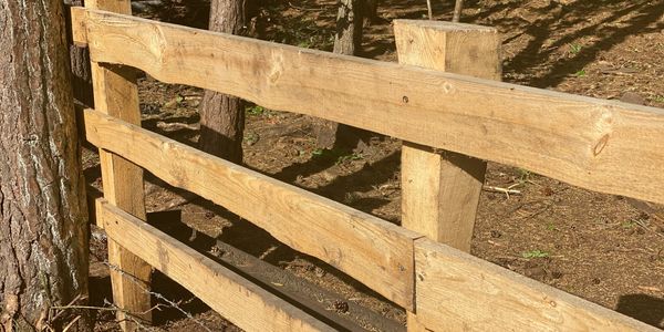 Equine Fencing 