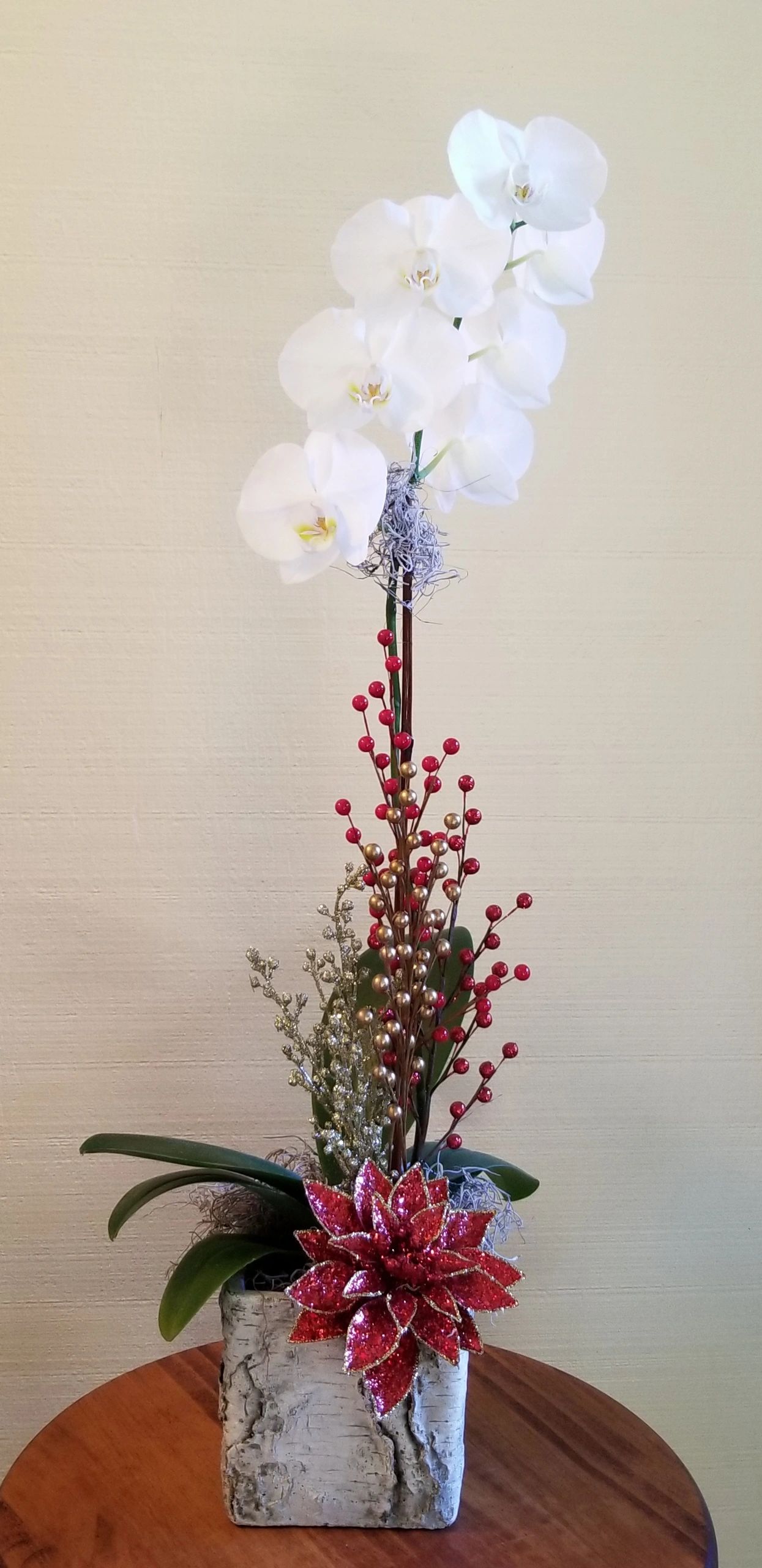 //isteam.wsimg.com/ip/f8b072cf-50ef-4180-8c78-5f7eba78db0d/Poinsettia%20Orchid.jpg/:/rs=w:1300,h:800