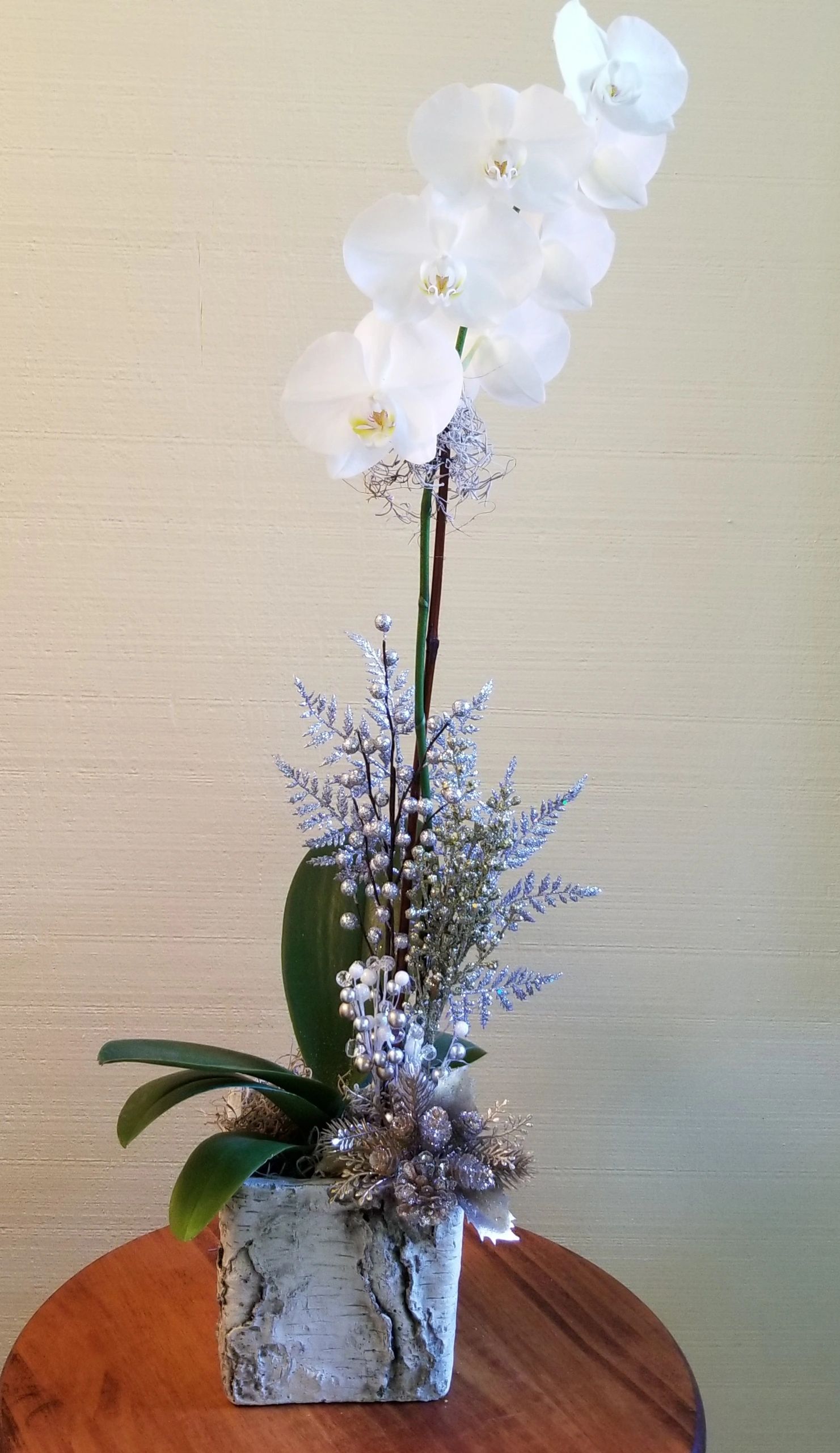 //isteam.wsimg.com/ip/f8b072cf-50ef-4180-8c78-5f7eba78db0d/Silver%20and%20Gold%20Orchid.jpg/:/cr=t:0%25,l:0%25,w:100%25,h:100%25/rs=w:1300,h:800
