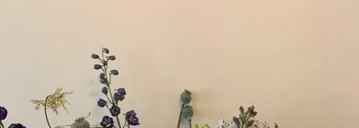 Picture of a beautiful flowers