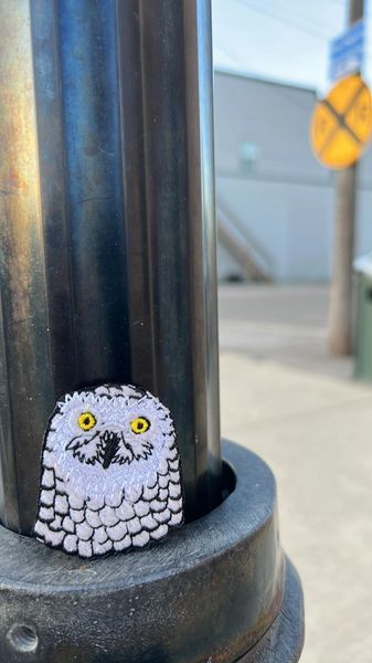 Every little thing... is gonna be OWL right!