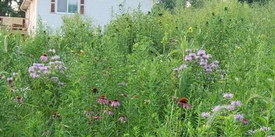 image176