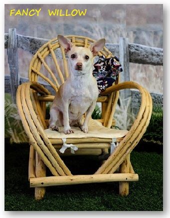 Jackson Hole Country Home Décor: Kaibab Debarked Porch Chair - Handcrafted Pool and Patio Furniture