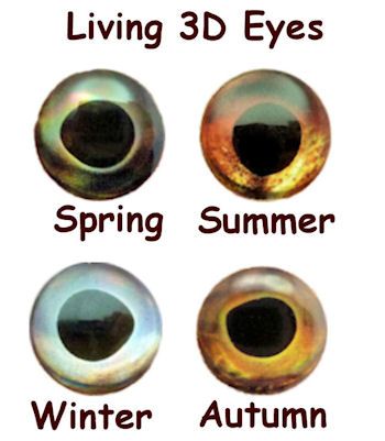 6mm 3D Lure Eyes  Enhance Your Baits with Realistic Fish Eyes