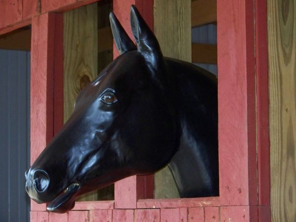 Bridle Buddy Arabian Life size Horse Head Display Wall Table,BLACK 