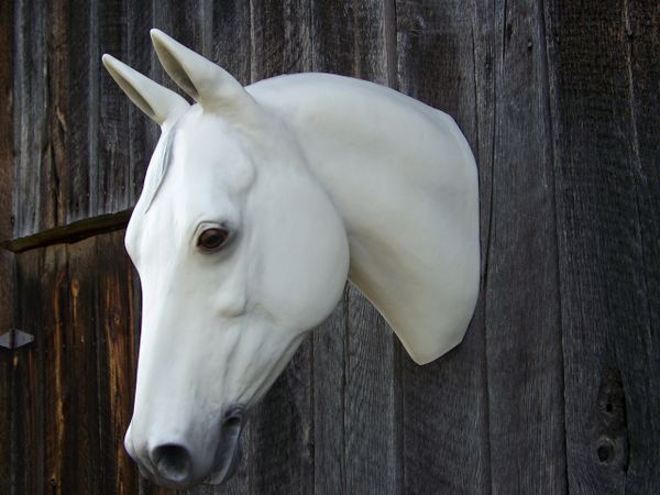Bridle Buddy Life Size Quarter Horse Head halter display mannequin 