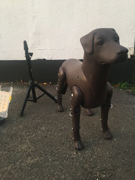 Life-Size Dog Training Mannequin - *Resquip*
