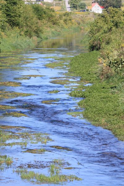 Blue Creek
