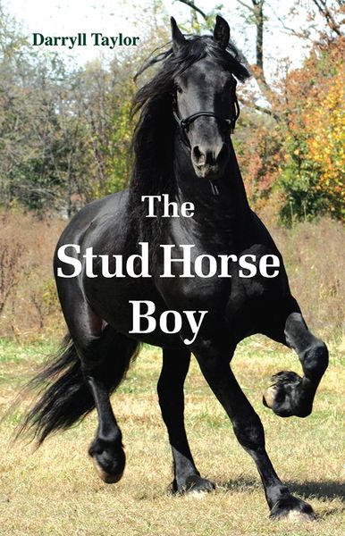 The Stud Horse Boy — Memoirs of a Horse Breeder's Son